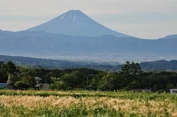 八ヶ岳南麓からの富士山-1.jpg