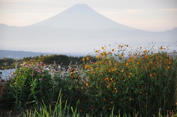 富士と花-1.jpg
