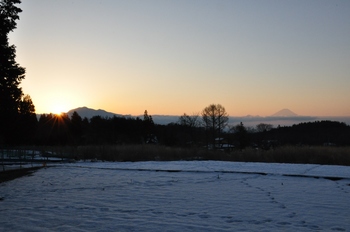 日の出と富士山.jpg